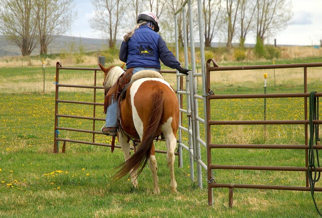 Barb practicing gate maneuvering.